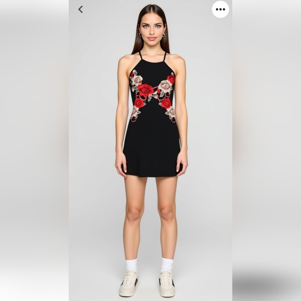 Black Floral Embroidered Skate Dress